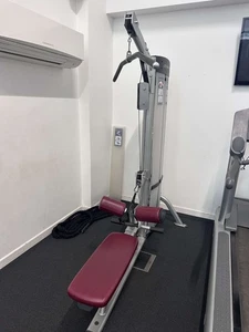 Life Fitness Dual Lat Pulldown/Low Row Machine Commercial Gym Equipment - Picture 1 of 2