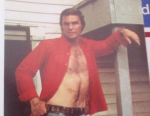 DÉCOUPER BURT REYNOLDS - Imagen 1 de 1