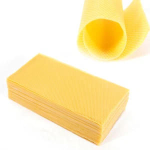 30pc Honeycomb Foundation Bee Hive Wax Frames Beekeeping Beehive Nest Sheet Tool - Picture 1 of 24