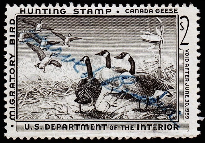 United States Hunting Permit Stamp Scott RW25 (1958) Used/Signed G-F, CV$12.50 C - Image 1 of 1