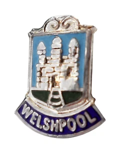 Welshpool Town Wales Crest Small Pin Badge - Picture 1 of 2