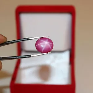 Certified Natural Star Ruby 11 Ct. 6 Rays Oval Cabochon Loose Gemstone STR-396 - Picture 1 of 10