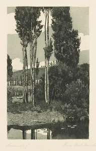 F. HOCH (1869-1916), Sommertag, Birken am Teich, Aquatinta Realismus Natur - Bild 1 von 4