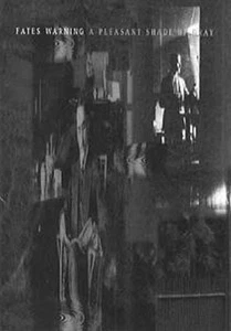 FATES WARNING - A Pleasant Shade Of Gray-Live VIDEO (VHS) - Picture 1 of 1