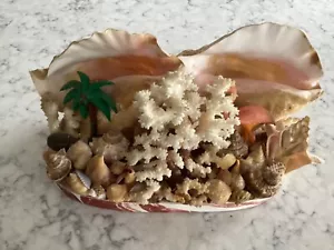 Vtg 1950's MCM TV Lamp Large Conch Shell Sea Shells Coral Palm Tree Beach Decor - Picture 1 of 8