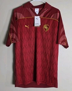 2025 Puma Gryffindor Home Quidditch Soccer Jersey Harry Potter Men S Hogwarts - Picture 1 of 8