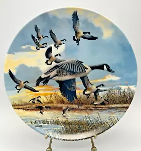 VINTAGE Landing Canadian Geese Donald Pentz 8,5" piatto-ali al vento con certificato di autenticità - Foto 1 di 7