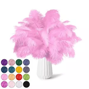 30 PCS Pink Ostrich Feathers 9-12" Wedding Vase Decor Party Centerpieces - Picture 1 of 6