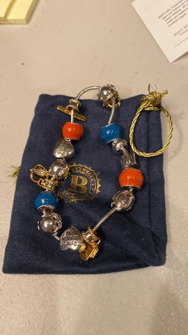 Bradford Exchange Denver Broncos Charm Bracelet 2010 Cover