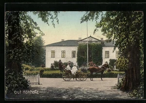 Hökholz, Ansichtskarte, Gut Hökholz mit Dame im Einspänner  - Picture 1 of 2
