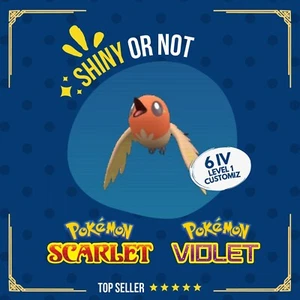 Fletchling Shiny or Non ✨ 6 IV Customizable Nature Level Pokémon Scarlet Violet - Picture 1 of 5