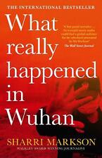 What Really Happened In Wuhan: A Virus Like No Other, Countless Infections, Mill