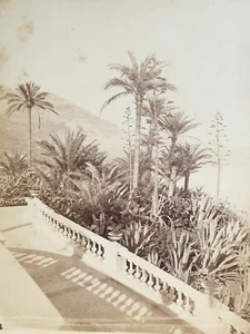 Installa Carlo Monaco Casinò Eugene David Foto Albumina Fotografia Palma XIX° - Picture 1 of 5
