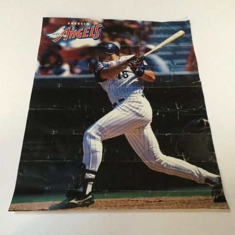 Tim Salmon Poster Los Angles Angels Cover