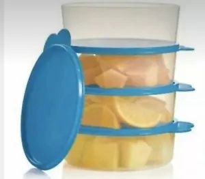 NEW TUPPERWARE big wonders large sheer bowl set of 4 light blue seals freeShip - Picture 1 of 2