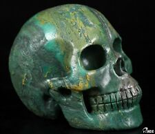 5.0" AFRICAN GREEN STONE VERDITE Carved Crystal Skull, Realistic, Healing