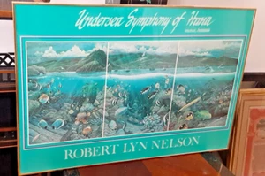 Robert Lyn Nelson Framed Vintage Poster. "Undersea Sympathy Of Hana" Maui - Picture 1 of 7
