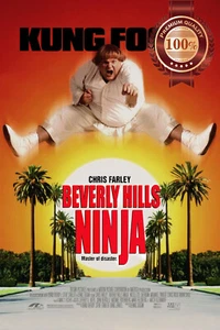 BEVERLY HILLS NINJA CHRIS FARLEY ORIGINAL CINEMA MOVIE PRINT PREMIUM POSTER - Picture 1 of 6