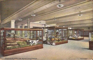 Pittsburgh, PENNSYLVANIA - Carnegie Institute Museum - 1910 - Picture 1 of 2