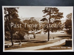 Vintage RPPC - Alenadra Park, Hastings - Picture 1 of 1