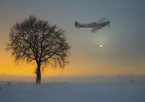 Supermarine Spitfire, Misty, impresión en lona varios tamaños envío gratuito - Imagen 1 de 4