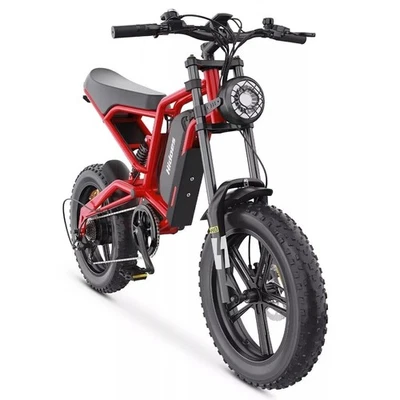 Hidoes B6 BIKE 20 Zoll E-Mountainbike 48V 15.6Ah Offroad Motorrad Elektrofahrrad - Bild 1 von 4