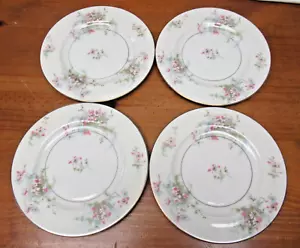 "Juego de 4 platos de colección Theodore Haviland NY ensalada flor de manzano 7,5""" - Imagen 1 de 6