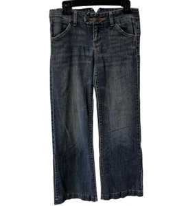 American Eagle Artist Flare Jeans Womens Sz 8 Low Rise raw edge 90s - Picture 1 of 10