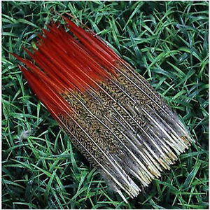 Wholesale 10-100PC  4-8 inches/10-20cm Natural red arrow golden pheasant feather