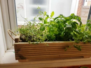 Handmade herb window box / planter - Picture 1 of 4