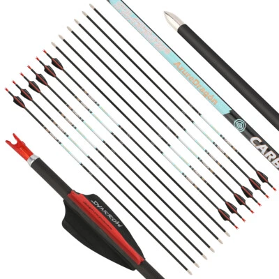 32" Archery Pure Carbon Arrows SP300-1000 Vanes .0001 Compound RecurveBow Target - Image 1 of 4