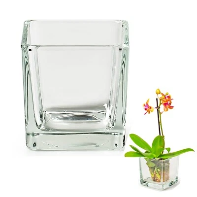 6 x Glaswürfel Windlicht Teelichtgläser Vorspeisengläser Glaswindlicht eckig - Bild 1 von 4
