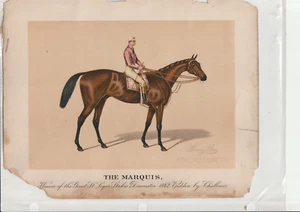 N239 Kinney - Racehorses (The Marquis) - Picture 1 of 2