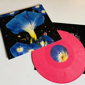 Sarah Louise NIGHTTIME BIRDS AND MORNING STARS Color Vinyl LP Record NEW Sealed - Imagen 1 de 1