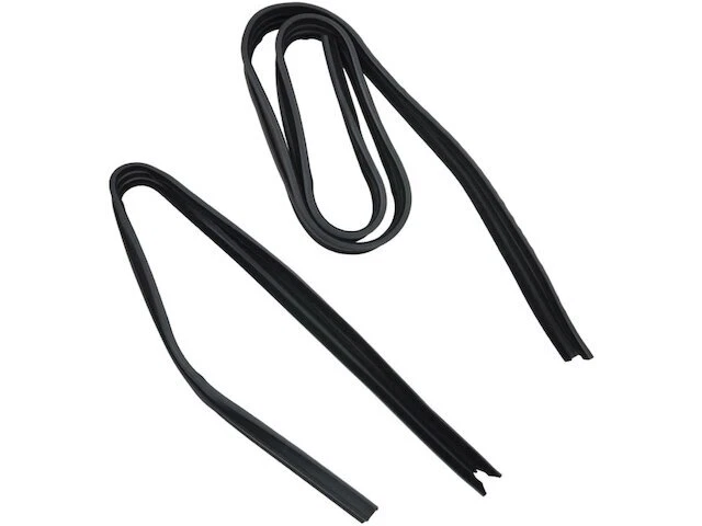 TRQ Door Window Glass Run Channel fits Dodge B300 1975-1980 54TWCT - Image 1 of 1