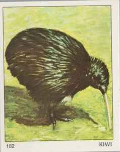 Top Sellers Card - Animals of The World - Card No 182 - Kiwi Bird - Picture 1 of 2