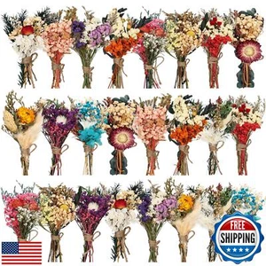 Layhit 24 Pcs Boho Dried Flower Bouquet Mini Wedding Handmade Dry Flowers Dec - Picture 1 of 5
