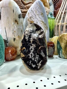 Large Septarian Egg Marvel Geode Cluster Crystal Natural Geode 8x5” - Picture 1 of 10