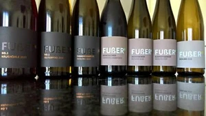 6 BT Riesling N1 REITERPFAD Ruppertsberger Reiterpfad trocken bio GC 2017 FUSSER - Bild 1 von 1