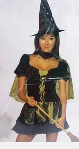Secret Wishes Wicked Witch Of The West Adult Womens Costume Medium B0962 - Picture 1 of 4