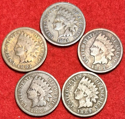 (5) Vintage Indian Head Pennies 1 Cent US Coins Penny Lot 1880s AG or Better! Cover
