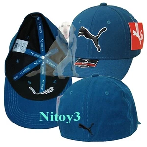 Puma Evercat Icon Stretch Fit Baseball Cap-Hat Men S/M(head): 54-57 cm. TEAL - Picture 1 of 1