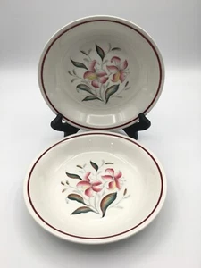 Vintage Burleigh Ware Tiger lily piatto pasta 8" Inghilterra set di 2 - Foto 1 di 4