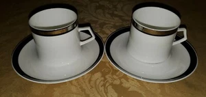 JUEGO DE 2 TAZAS Y PLATILLOS PORCELANA DE HUESO MIKASA SOLITUDE NARUMI JAPAN - Imagen 1 de 6