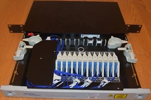 Nortel NT0H59AAE5 Transponder Protection Tray TPT 4-Channel ADC Ciena Loaded - Picture 1 of 7