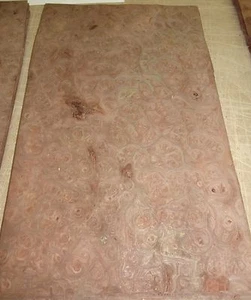 Carpathian Elm Burl wood veneer 8" x 12" raw no backing 1/42" thick AA grade - Picture 1 of 1