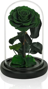 Mothers Day Flowers Green Roses for Mom, Handmade Preserved Roses in Glass Dome, - Picture 1 of 6
