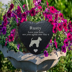 Personalised Cat Memorial Plaque Custom Dog Memorial Horse Memorial Lizard Stone - Picture 1 of 18