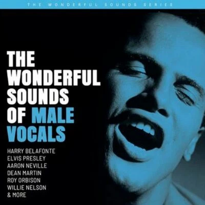 Various Artists - The Wonderful Sounds Of Male V.(200g Vinyl 2LP), Analogue Prod - Image 1 of 3