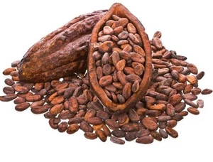 Pure Cacao Beans Cocoa Raw Premium Whole Chocolate Beans Cocoa Hand Harvest - Picture 1 of 3